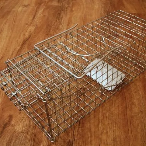 thumbnail for publication: How to Use Traps to Catch Nuisance Wildlife in Your Yard